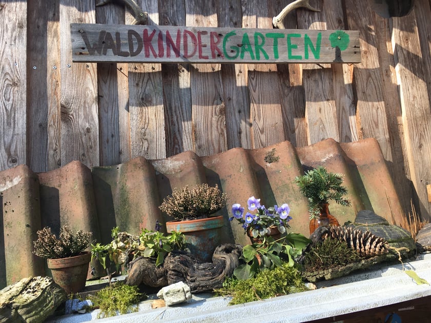Kinder im Waldkindergarten Steyerberg lernen und spielen in der Natur.